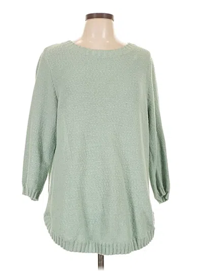 Pre-owned Jjill Pullover Sweater In Green