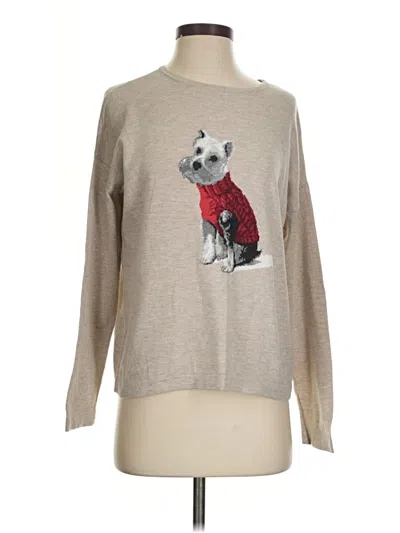 Pre-owned Jjill Pullover Sweater In Silver