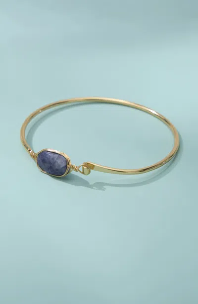 Jjill Semiprecious Bangle Bracelet In Multi