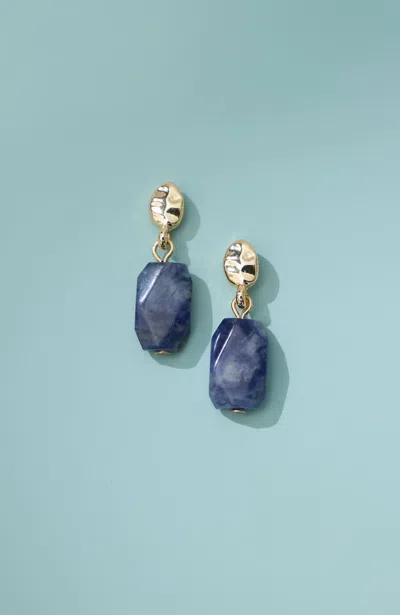 Jjill Sodalite Drop Earrings In Multi