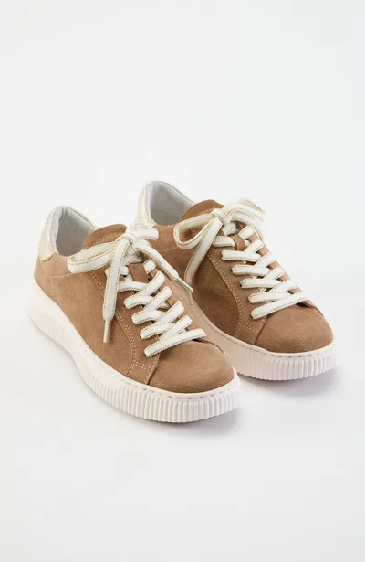 Jjill J.jill Sofft® Frazier Ii Sneakers In Brown