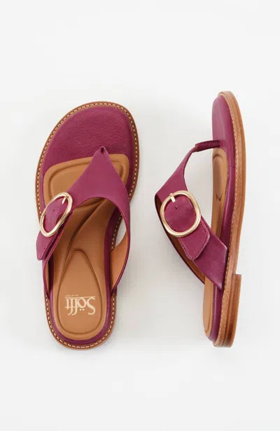 Jjill J.jill Sofft® Nancia Sandals In Raspberry