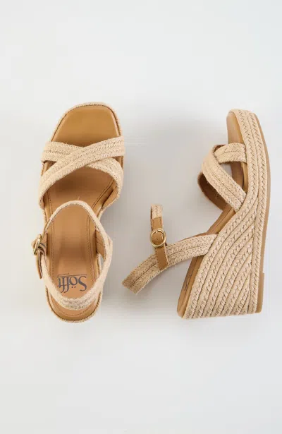 Jjill Sofft Newbury Espadrilles Shoes In Brown