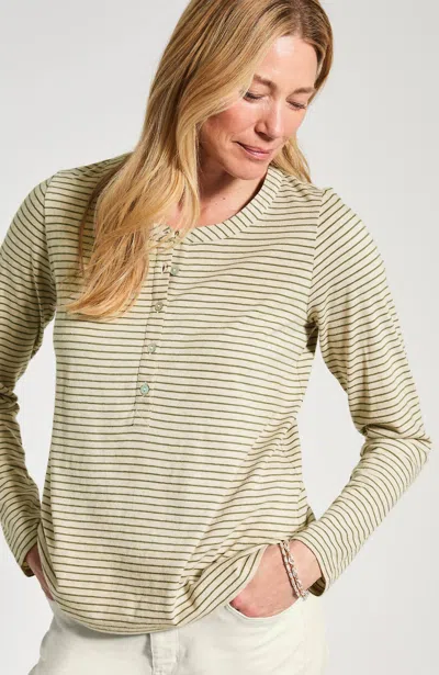 Jjill Tall Knit Henley Top In Green