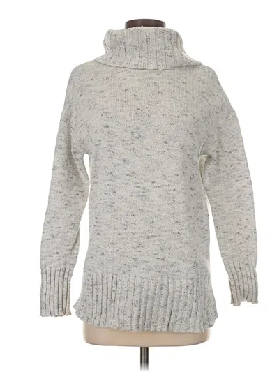 Pre-owned Jjill Turtleneck Sweater In Silver