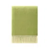 J.j.textile Green / White Honeycomb Lime Wool Throw