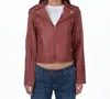 Jkt Nyc Millie Matte Leather Jacket In Salsa In Burgundy