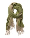 J.mclaughlin Jaipur Cashmere Scarf In Green