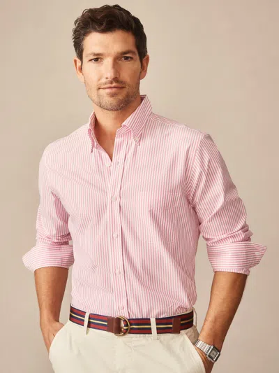 J.mclaughlin Men's Belvedere Cotton Shirt In Bengal Stripe Pink/white In Multi