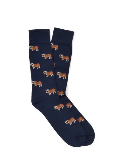 J.mclaughlin Men's Bulldog Socks Navy/tan/white | Cotton/nylon/spandex In Blue