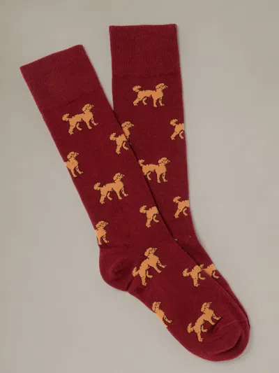 J.mclaughlin Men's Socks In Best In Show Maroon/tan | Cotton/nylon/spandex In Burgundy