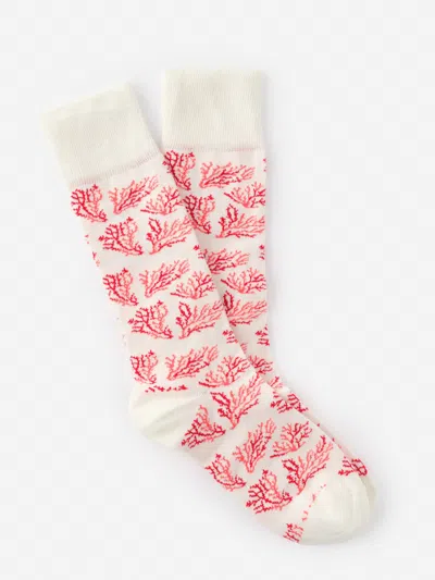 J.mclaughlin Men's Socks In Midi Coral Cay Texture Off White/coral | Cotton/nylon/spandex In Multi