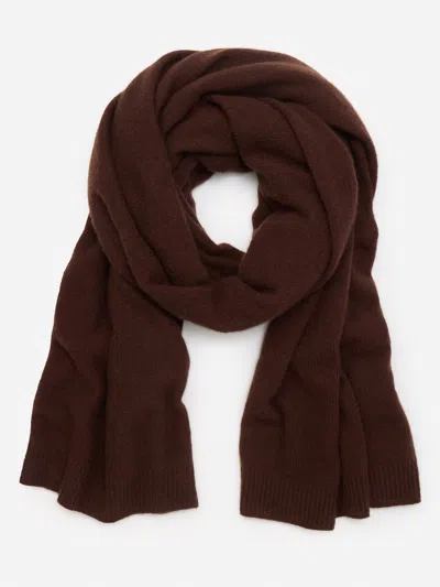 J.mclaughlin Women's Ailia Cashmere Scarf Chocolate Brown