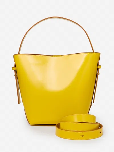 J.mclaughlin Women's Crawford Leather Bucket Bag Yellow/vachetta In Brown
