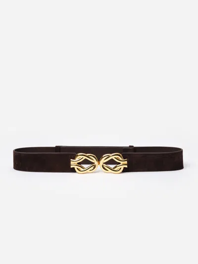 J.mclaughlin Women's Eliza Suede Belt Dark Brown