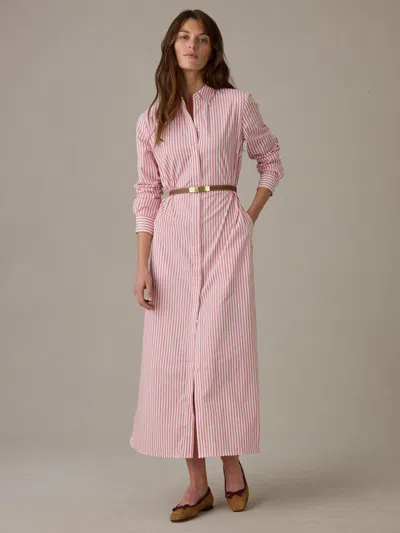 J.mclaughlin Women's Leighton Dress In Stripe White/radiant Rose In Pink