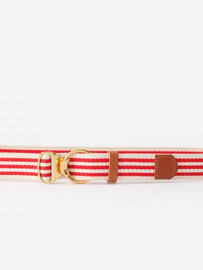 J.mclaughlin Women's Mini Isobel Canvas Belt In Stripe Red Poppy In Metallic