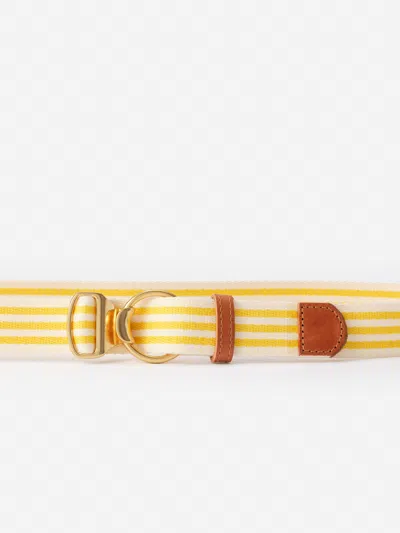 J.mclaughlin Women's Mini Isobel Canvas Belt In Stripe Saffron In Burgundy
