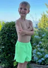 Jmp The Label Indy Boy's Swim Trunk - Lime Green Check