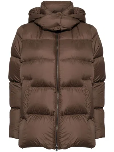 Jnby Hooded Puffer Jacket In Brown