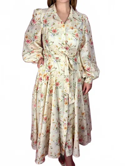 J.nna Women's The Evangeline Maxi Dress In Beige In Multi