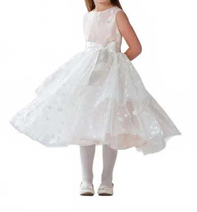 Joan Calabrese Kids' Petal Embroidered Dot Fancy Dress In Ivory In White