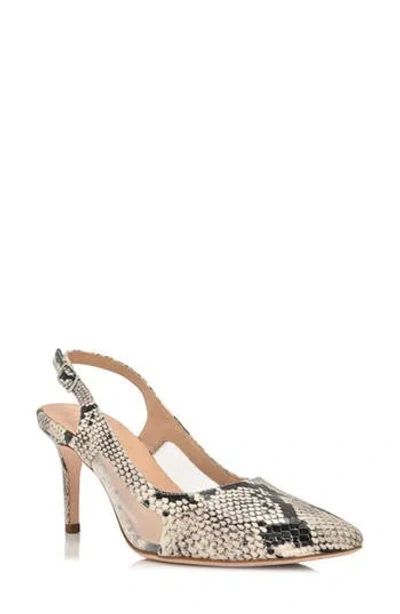Joan Oloff Dance Slingback Pump In Natural Printed Snake