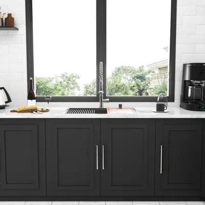 Joanna Vargas 30 Drop - In Kitchen Sink, Single Bowl, 16 Gauge Stainless Steel, Workstation, Wear Surface, Drainag In Brushed Nickel