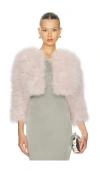 Jocelyn Fifi Feather Bolero In Pink