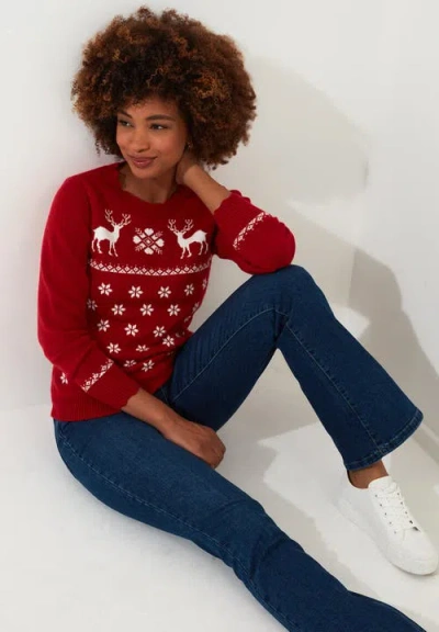 Joe Browns Novelty Holiday Snowflake Pullover Sweater In Animal Print