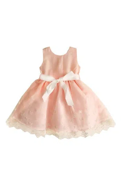 Joe-ella Kids' Embroidered Butterfly Dress In Pink