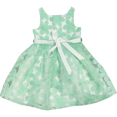 Joe-ella Kids' Floral Embroidered Dress In Green