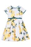 Joe-ella Kids' Lemon Print Party Dress In White