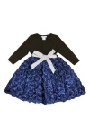 Joe-ella Kids' Roses Satin Party Dress In Blue
