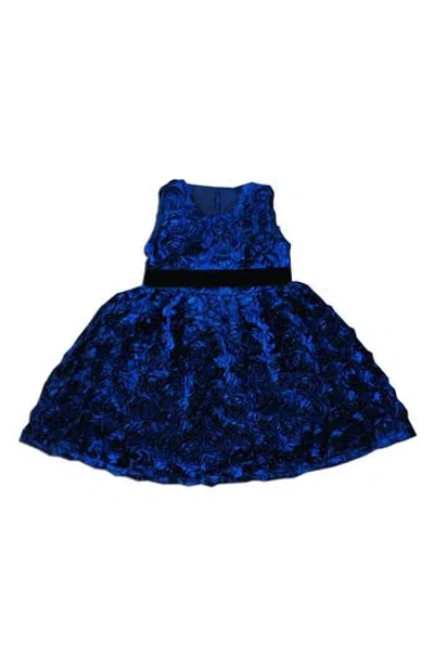 Joe-ella Kids' Rosetted Velvet Waistband Dress In Blue