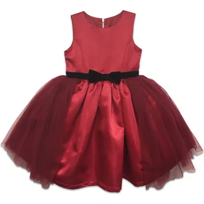 Joe-ella Kids' Tulle And Velvet Occasion Dress In Red