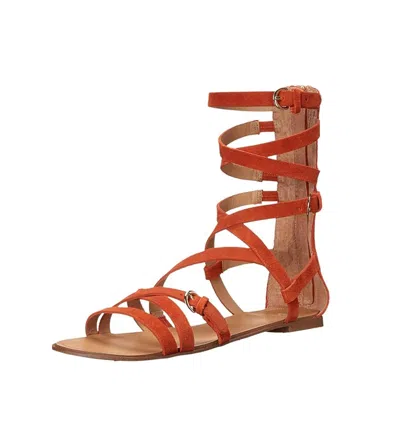 Joe's Jeans Women'steddy Gladiator Sandals In Orange
