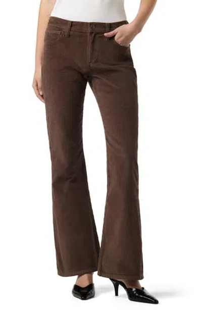 Joe's Corduroy Bootcut Pants In Espresso