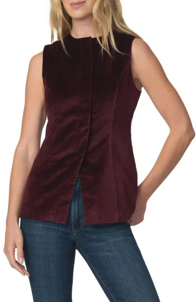 Joe's The Velveteen Sleeveless Tunic Top In Brown
