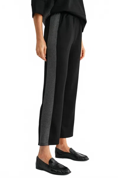 Joh Kerry Stretch Ponte Pants In Black