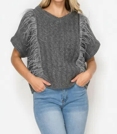 Joh Sonya Knitted Sweater With Feathers In Grey In Brown
