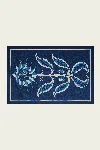 Johanna Ortiz Harmony In Motion Shawl In Navy In Blue