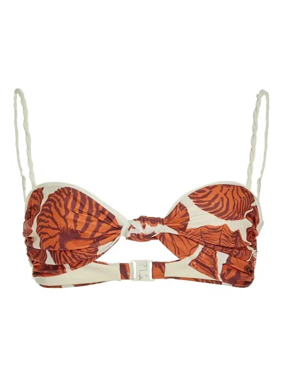 Johanna Ortiz Oyster Shell-print Bikini Top In Multi