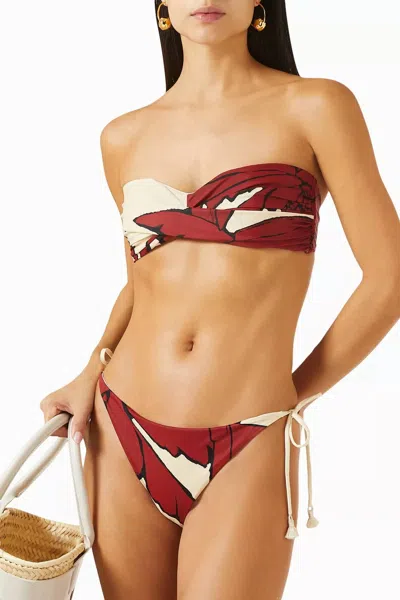 Johanna Ortiz Palms Entorche Del Mar Bikini Bottom In Ecru Red Black In Brown