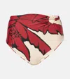Johanna Ortiz Printed High-rise Bikini Bottoms In Ecrured