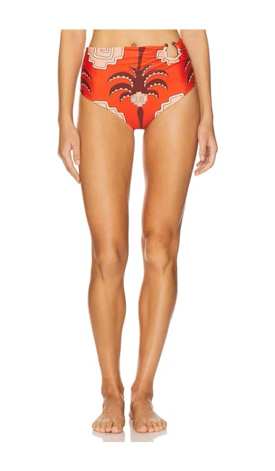 Johanna Ortiz Taita Bikini Bottom