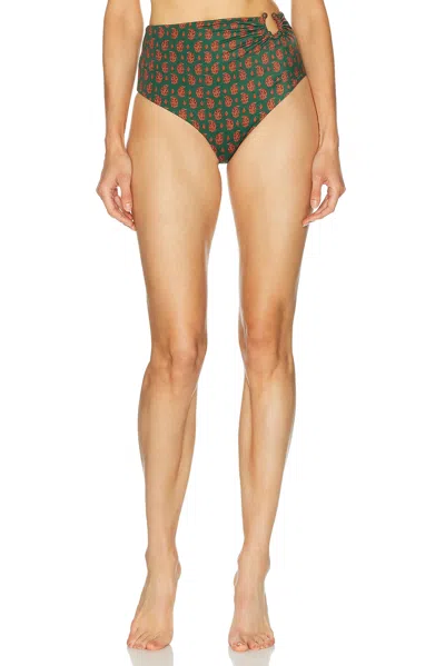 Johanna Ortiz Taita Bikini Bottom