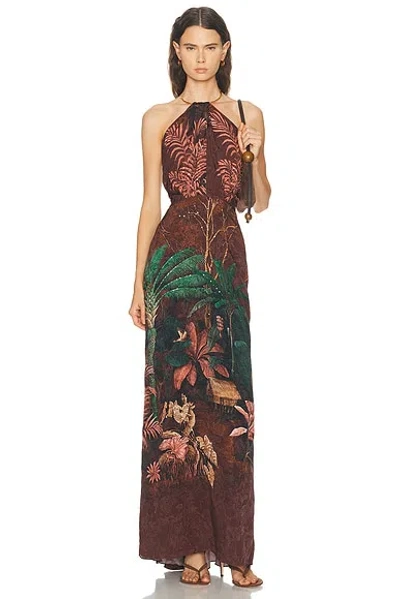 Johanna Ortiz Wild Horizons Maxi Dress In Multi