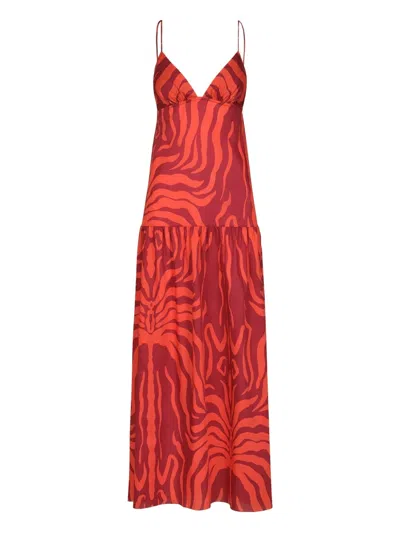 Johanna Ortiz Zea Palm Zebra-print Dress In Red