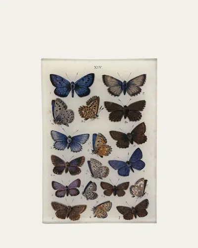John Derian Butterflies Xiv Cell Phone Tray, 5" X 8"